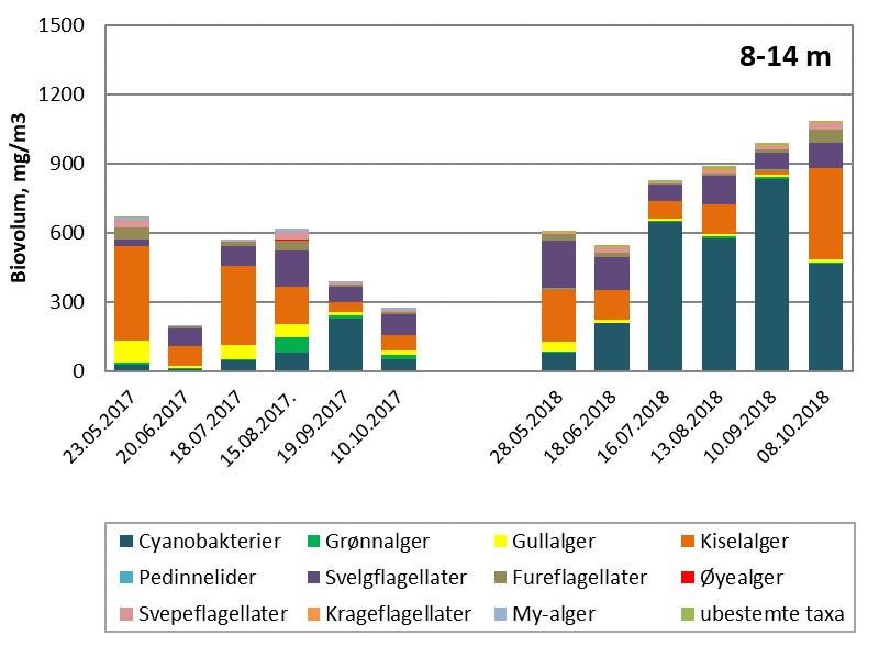 En slik oppblomstring utviklet seg i 2018. Cyanobakterier (også kalt blågrønnalger er encellede eller kolonidannende bakterier som driver fotosyntese slik planter gjør).