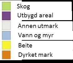 AR5 inngår i Felles kartdatabase (FKB) og Det offentlige kartgrunnlaget (DOK). Hovedinndelingen i AR5 er arealtype basert på kriterier for vegetasjon, naturlig drenering og kulturpåvirkning.