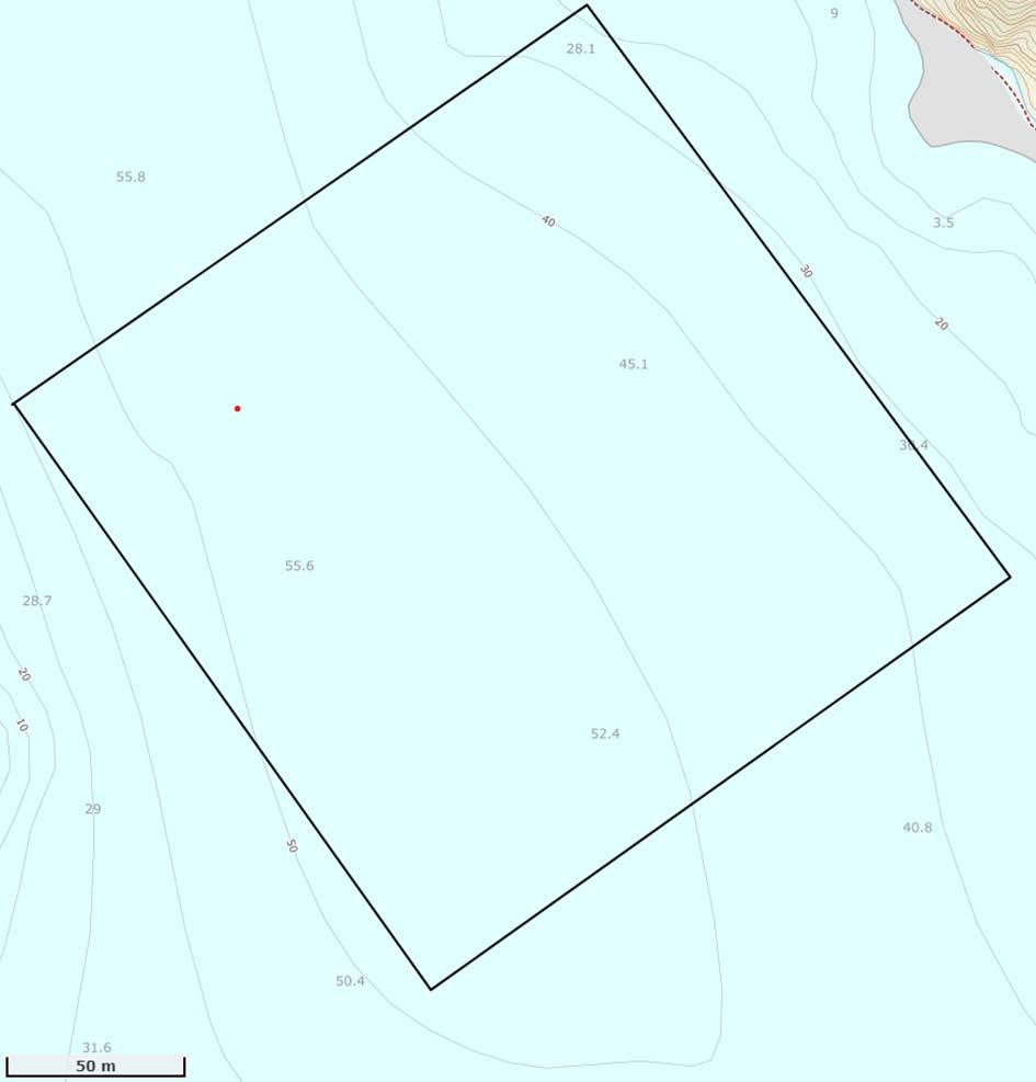 Det planlagde anlegget vil ligge mellom Dyrholmen og skjæra Galtane. Det vil vere mellom ca 20 og 60 m djupt i anleggsområdet (figur 4).