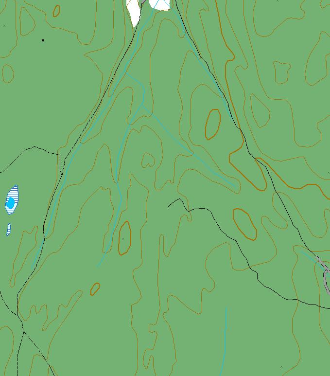 NINA Rapport 45 Svindalen Nord og Flisefyr, (Andebu). Grenser for verneverdige skogområder.