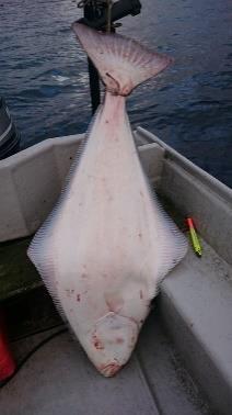 Nordvegen Havfiskefestival lørdag 23.03.