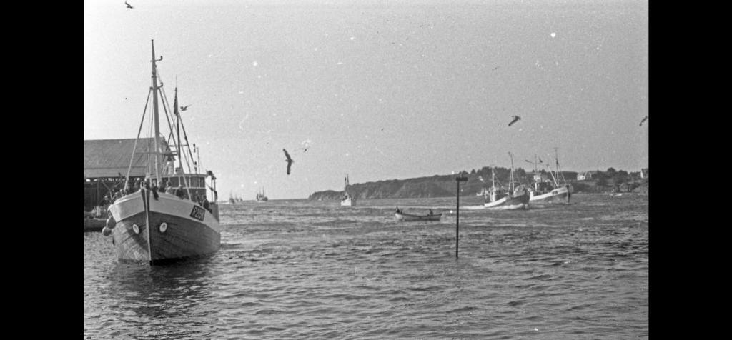 50 år siden Karmøyfestivalens opprinnelse og første år (utdrag fra KJFNF s jubileumsbok) Etter en del diskusjon med Skudeneshavn handelsstand om å legge årets fiskekonkurranse til Skudeneshavn i