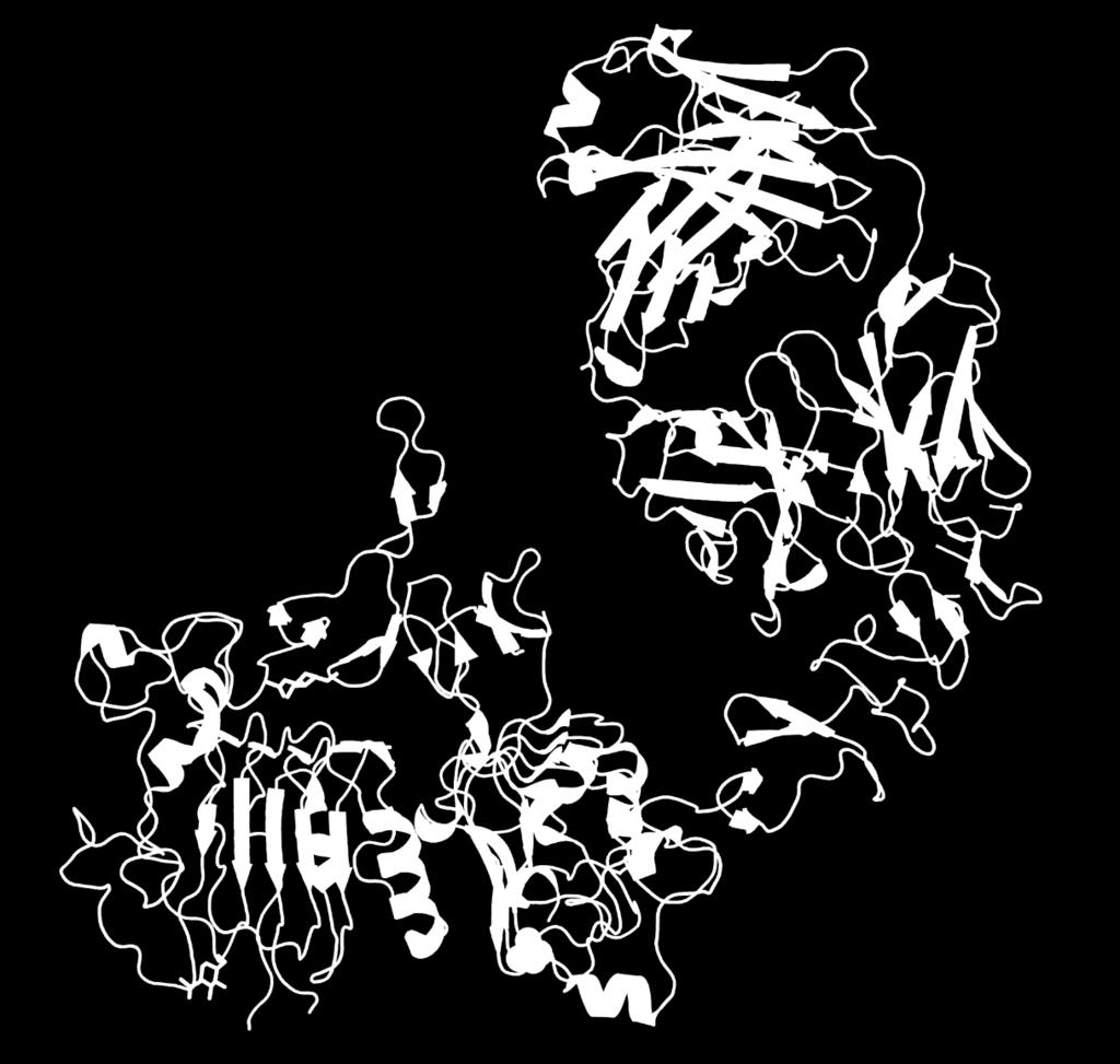 Brystkreftbehandling: Her2-neu og medikamentet trastuzumab Trastuzumab