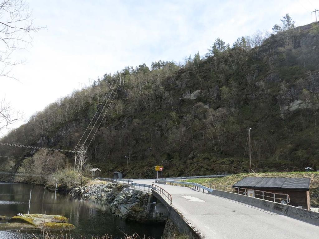 Skråningen på den nordlige siden av åsryggen Hovden.