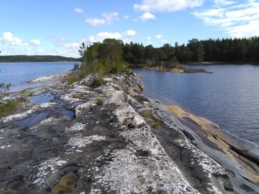 Rygger av den såkalte snåsa- og steinkjerkalken fortsetter som lange smale nes utover i Snåsavatnet vest for Finnsåsmarka, Disse tangene har spesiell natur og naturtyper.