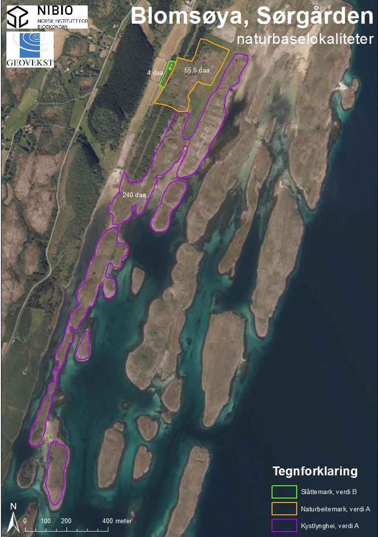 Figur 2. Flybilde med avgrensning av naturbaselokaliteter samt størrelse og verdisetting som skjøtselsplanen inkluderer.