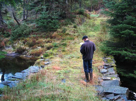 DELOMRÅDE 22: SALTVIKI LANDSKAPETS VERDI I avslutningen mot sjøen fremstår de langsmale terrengformene på Radøy som parallelle viker og nes. Ved Saltviki er det to av dem utenfor hverandre.