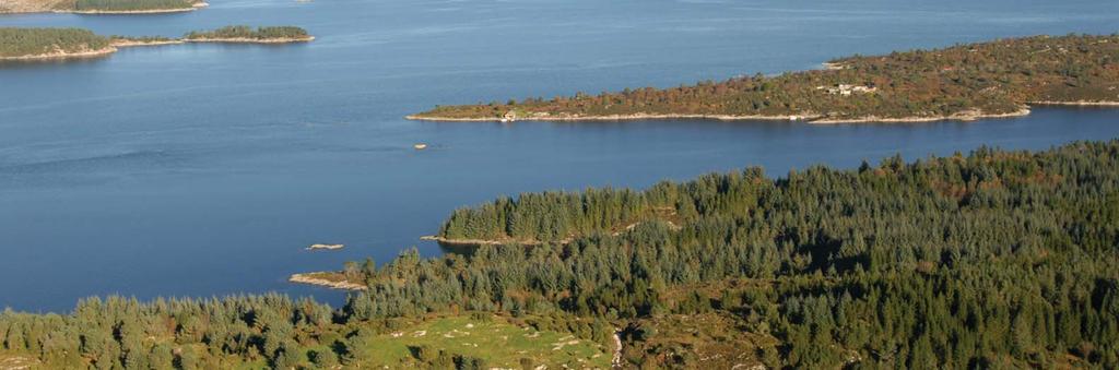 Saltviknesene sett fra sørøst