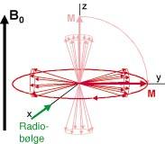 helt annen presesjonsfrekvens ved 1T. Fenomenet kjernemagnetisk resonans Signalregistrering Vevsmagnetismen kan måles ved å la den indusere strøm i en spole.