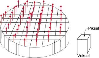 Romlig lokalisering av MR-signalene Snittbilder forutsetter at de induserte strømsignalene bare kommer fra en skive av kroppen. Dette oppnås ved hjelp av såkalte magnetiske feltgradienter (3, 4).