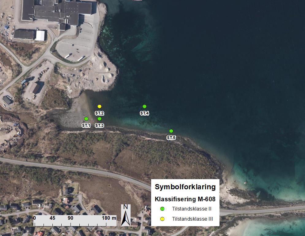 Børøya industriområde, utfylling sørøst Miljøgeologiske undersøkelser av sjøbunnsedimenter multiconsult.no 5 Resultater Figur 7: Børøya industriområde.