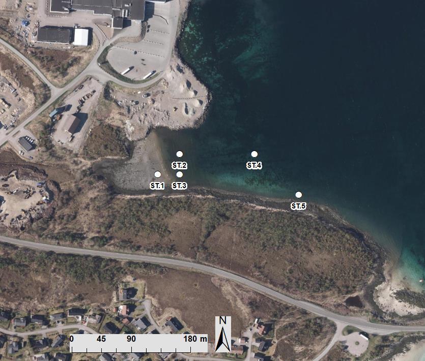 Børøya industriområde, utfylling sørøst Miljøgeologiske undersøkelser av sjøbunnsedimenter multiconsult.no 5 Resultater 4.