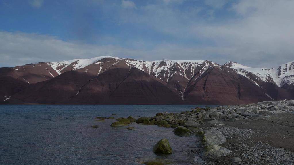 Hva kan støttes? (jf. forskriften 1) Fondets midler kan bare brukes til tiltak på Svalbard som har til formål å beskytte miljøet.
