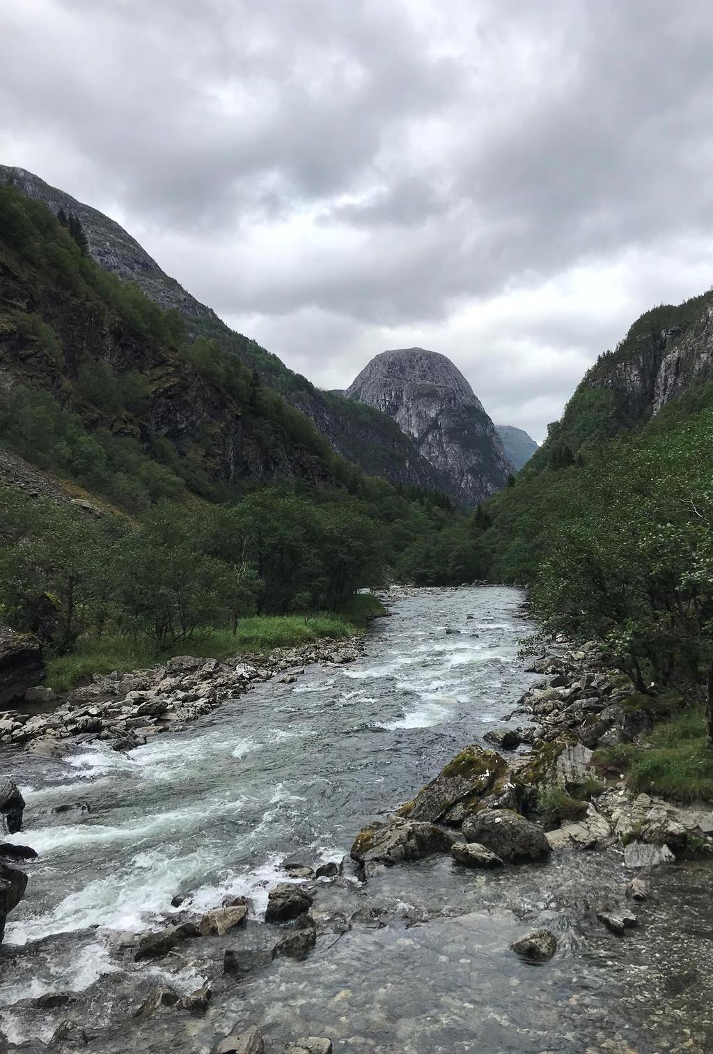 REISELIV Store moglegheiter vert det gløymt av fylket?