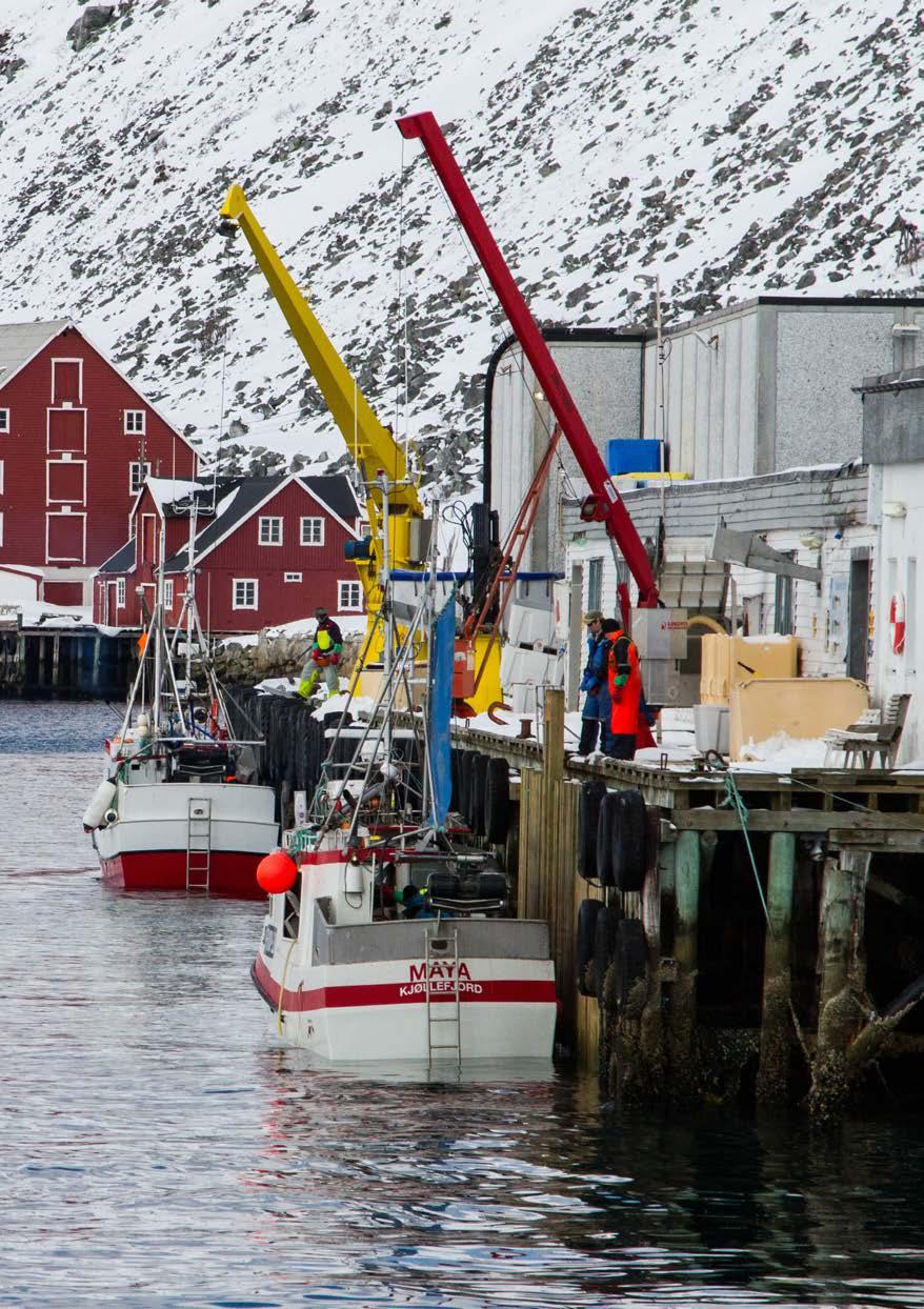 Kjøllefjord en trygg og god havn nært fiskefeltet Foto: