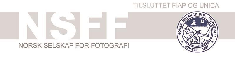 KRAV TIL FIAP-HEDERSTEGN (FOR FOTOAKTIVITET) - PDF Free Download