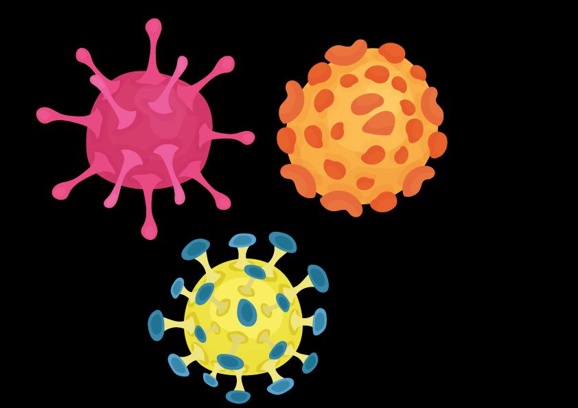 Influensa Influensa A Influensa B er mer enn ett virus A/H3N2 A/H1N1 B/ Yamagata B/ Victoria Flere influensavirus kan sirkulere samtidig Du kan bli syk flere ganger samme vinter