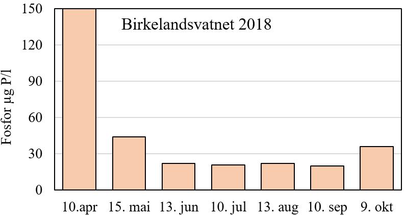 VIRKNING AV TILFØRSLER AV TARMBAKTERIER I Birkelandsvatnet var det gjennom våren og sommeren 2018 ikke særlig høye forekomster av tarmbakterier av typen E.