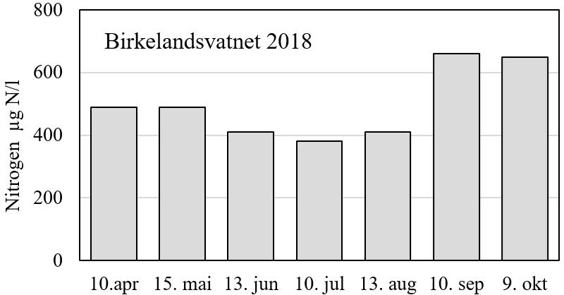 Resultatene fra 2018 viser tilstand «god» for Birkelandsvatnet, basert på disse høyeste målingene. Figur 4.