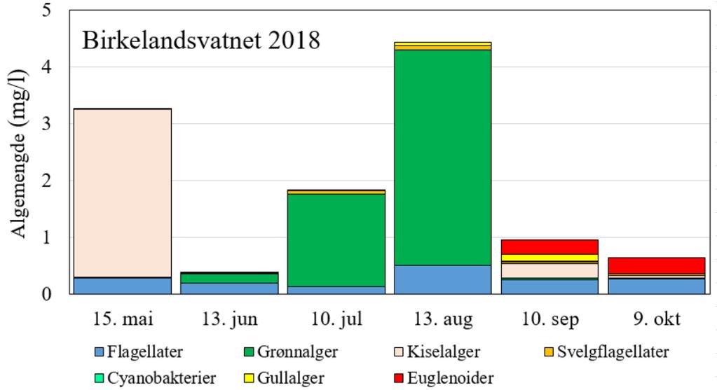 I Birkelandsvatnet var innholdet av klorofyll-a høyest i mai i forbindelse med våroppblomstringen, som i 2018 hadde særlig gode vilkår både i form av mye godt vær med sol og varme, samt særlig høye