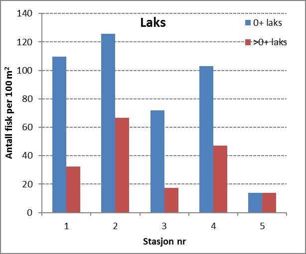 Figur 5. Ungfisktettheter av laks (t.v.) og aure (t.h.) ved elektrisk fiske på de ulike stasjonene i Årøyelva høsten 2017.