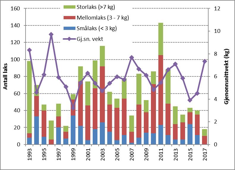 Bestanden har en betydelig andel storlaks, og gjennomsnittsvekt på fangstene i perioden 1993-2015, da det foreligger størrelsesfordeling, er 5,9 kg (Figur 3).