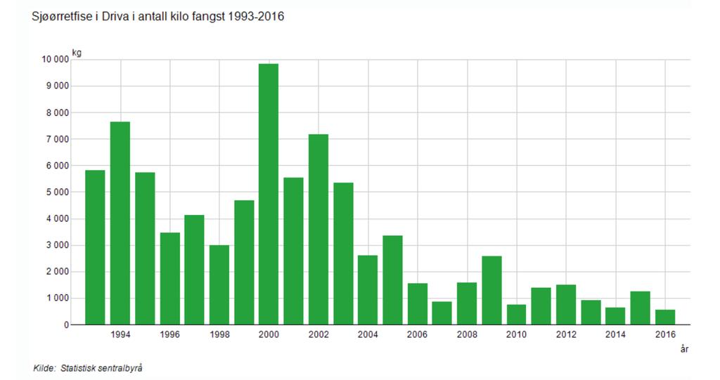 Figur 13 Sjøørretfiske i Driva har gått markant tilbake etter 2003, og de senere årene har sjøørreten hatt svært dårlige forhold. Kilde: SSB.no (statistikken i SSB går ikke lengere tilbake enn 1993).