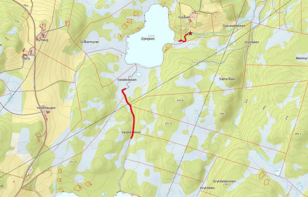 Øvre Gjøvassbekken og Vasslibekken (Ruud & Berger 2016) Figur 6: De røde linjene viser kartlagt strekning øverst i Gjøvassbekken og i Vasslibekken.