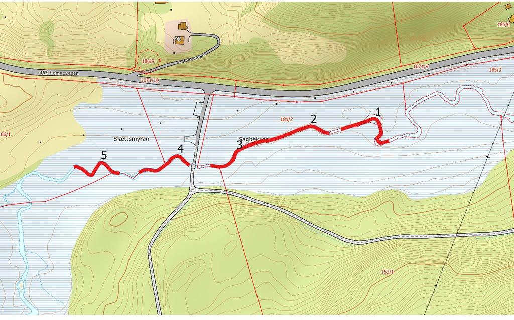 Lokaliteter Sagbekken (Thomas Ruud 2017) Figur 2: Kartfesting av de fem 15.min tellestasjonene i Sagbekken. Røde linjer indikerer tellestrekningene.