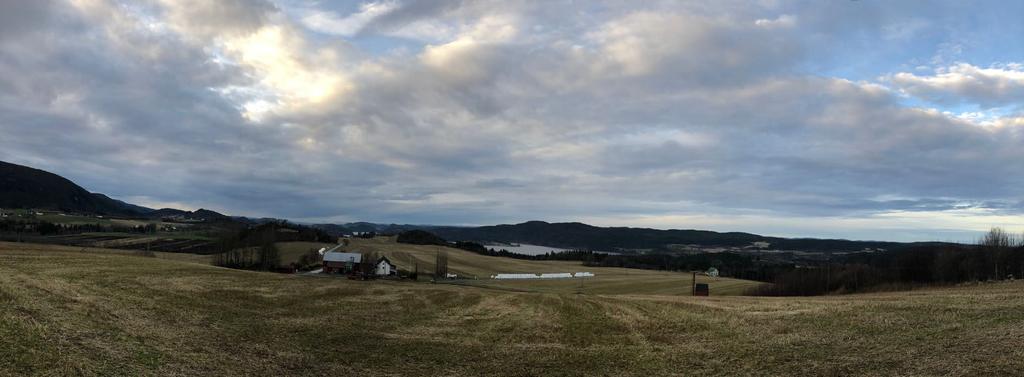 planområdet ligger også høydedraget Hovshaugen med noe skog. Figur 5 Utsikt fra planområdet mot Åsen i sørvest. 3.4.