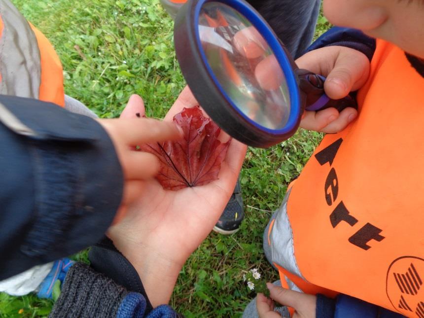 Utegruppene, høsten 2018 Det er mye spennende og fint å finne ute i naturen. Når barna er ute på tur finner de alltid noe å studere.