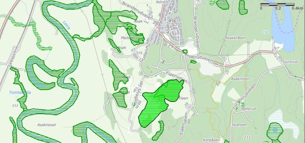 viktigste ravinene i Skedsmo kommune (Biofokus 2018). Fuglelivet En nattsangertur til sørenden gav en syngende åkerrikse på beitearealet i ravinens vestside.