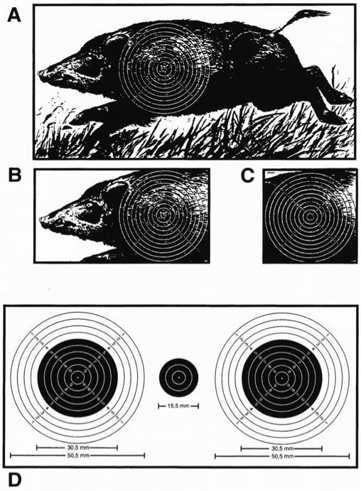 SKIVER FOR VILTMÅLØVELSENE A, B og C er skiver for 50m-øvelsen og viser et løpende villsvin med treffsoner trykt på dyrets bog.