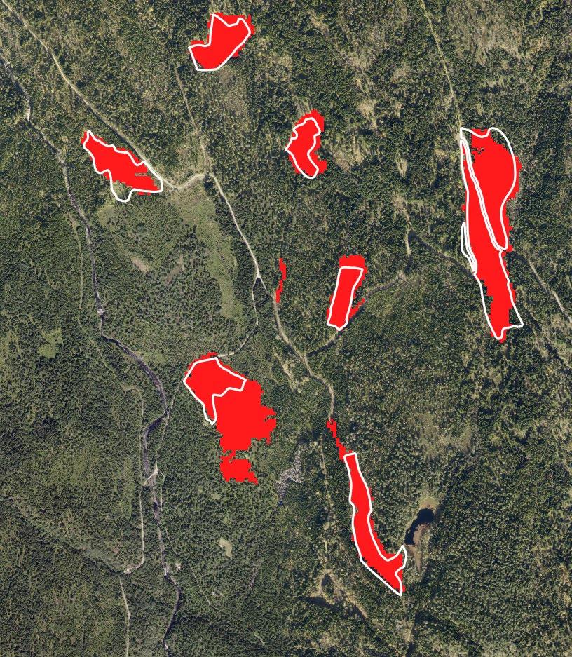 Sentinel-2 er beregnet som nedgang i kortbølget infrarød stråling fra sommeren 2017 til sommeren 2018, og det betyr at det er med et hogstområde som trolig er hogget i 2018 (senvinter-vår).