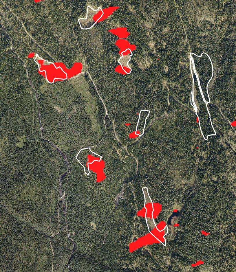 intensitet (høyre). Resultatene for Sentinel-1 og -2 er foreløpige og metodene er under utarbeidelse og forbedring. Flybildet I bakgrunnen er av eldre dato og viser derfor ikke alle hogstflatene.