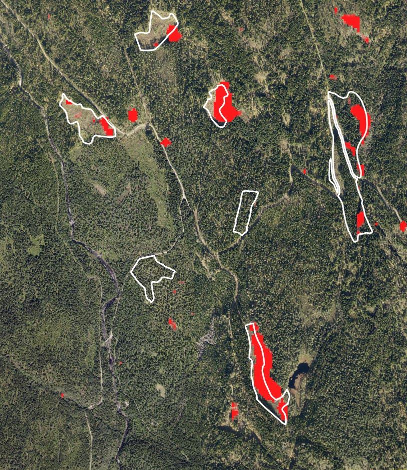 En oversikt over de viktigste radarsatellittmisjonene (operative og planlagte) som anses aktuelle i sammenheng med skogovervåking er vist i Tabell 5.