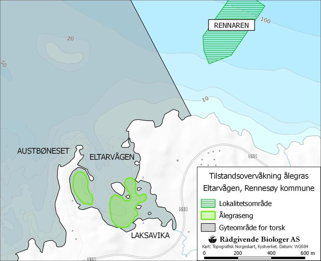 september 2018 Rådgivende Biologer AS har på oppdrag fra Grieg Seafood Rogaland AS utført tredje år av tilstandsovervåkning for ålegrasenger i Eltarvågen, sørvest for lokaliteten Rennaren