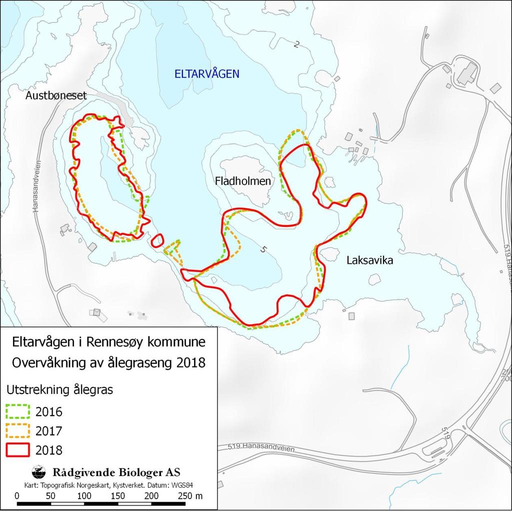 Figur 5. Avgrensning av ålegrasengene i Eltarvågen i 2016 (grønn), 2017 (oransje) og 2018 (rød). Tabell 2. Oversikt over registrerte parametere for ålegrasengene i Eltarvågen 2016-2018.