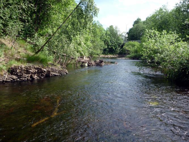 Figur 6. Til venstre: Stasjonsområde i øvre del oppstrøms Griniveien. Foto tatt oppstrøms Griniveien og viser strykparti med gyte- og oppvekstområde for ørret, samt habitat for elvemuslingen.