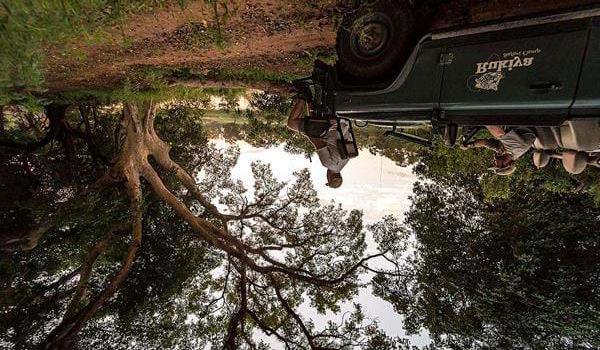 Mpumalanga-provinsen. Med bare 6 telt på området, får du en intim opplevelse og kan nyte safaricampens flotte fasiliteter og høye grad av komfort.