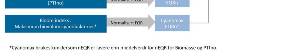 Indeksen for Cyanomax benyttes kun hvis denne EQRn er lavere enn gjennomsnittet av de andre indeksene. (fra Annex 1 i Lyche-Solheim et al. 2011).