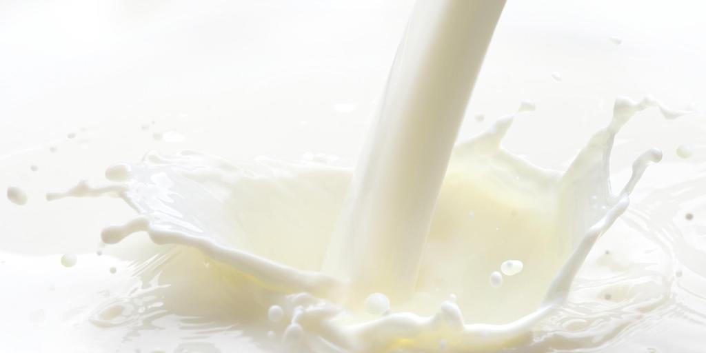Melk God kilde til næringsstoffer som er gunstige for skjelett og muskler: Energi og protein, kalsium