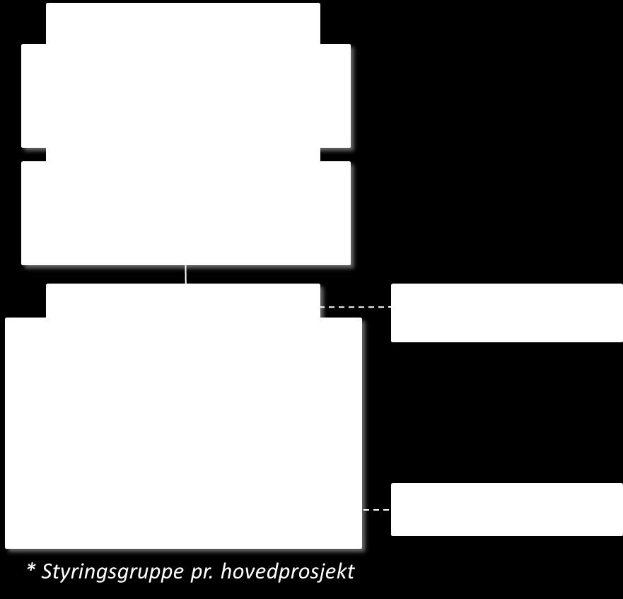 Leder for programstyringsgruppen (programeier) beslutter i kraft av sin stilling som administrerende direktør for Sykehuspartner HF, og innen sitt ansvarsområde.