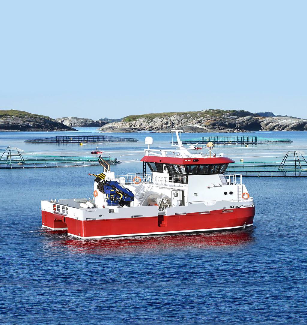 Rengjøring av service- og arbeidsbåter Sikre