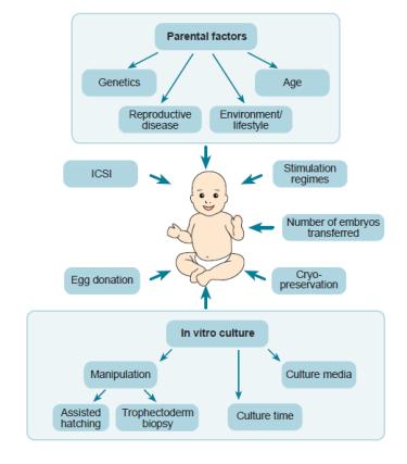 perinatal helse ved ART?