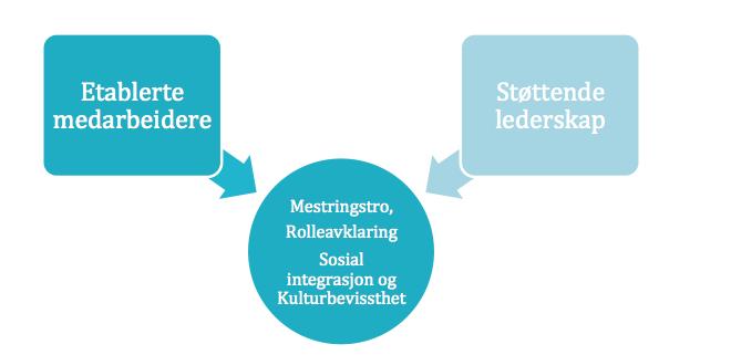 Sosialisering er også en viktig faktor for å integrere den nyansatte i organisasjonskulturen.