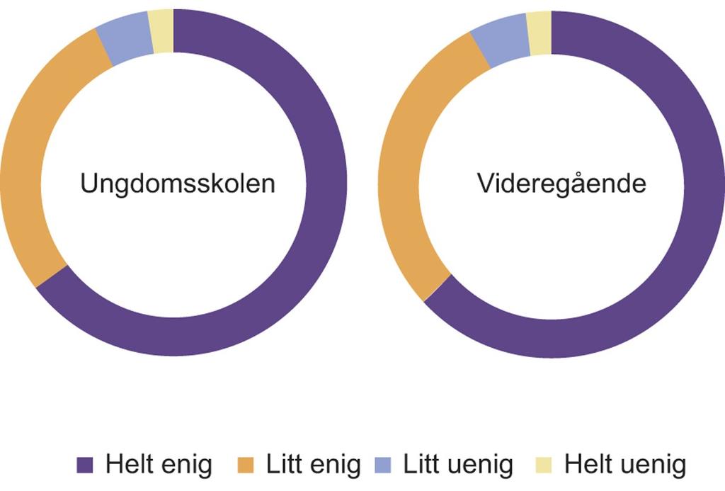 Ungdom trivst på skulen, men