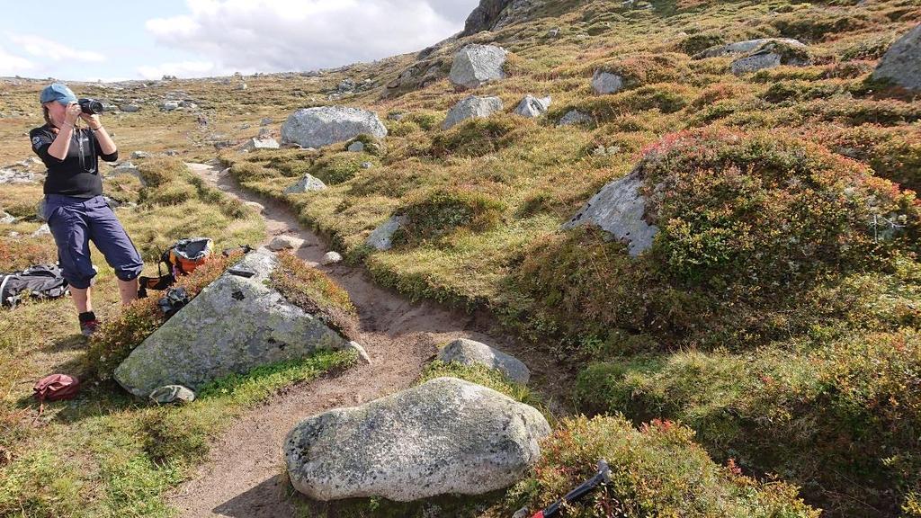 Figur 8 Punkt for ferdselsteller opp fra Synnerdalen. 2.1.