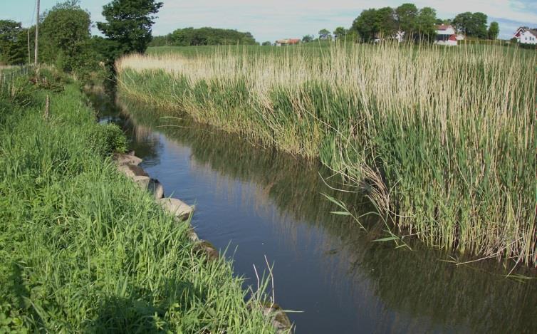 Landbruk Klassifisering av vannforekomster Kartlegging av økologisk tilstand Renseparker Regionalt