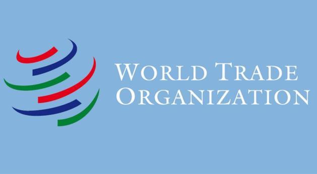 Verdens handelsorganisasjon, WTO WTO-avtalen (1995)